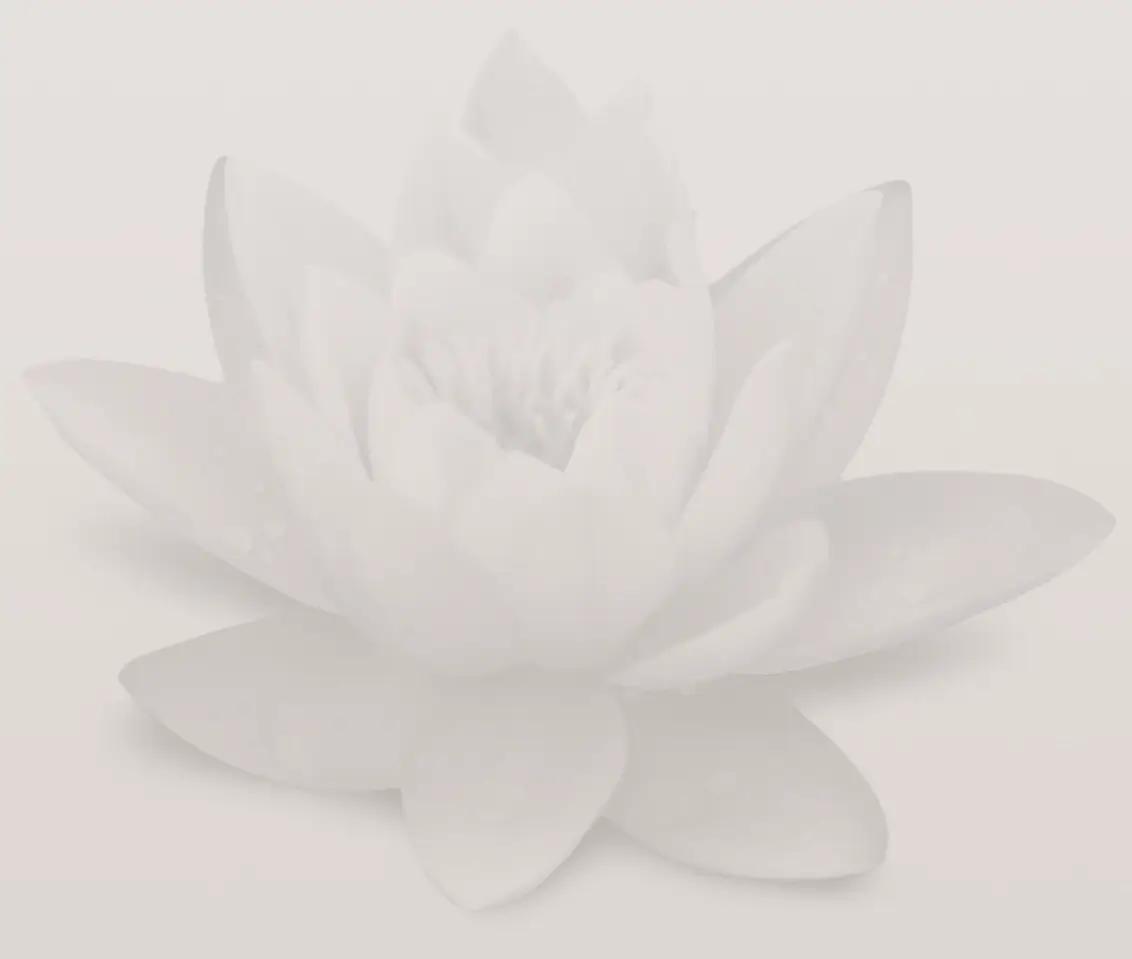 Lectures on the Chakras